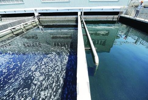 氨氮废水的来源及特征是什么？不同浓度的氨氮处理方法有何不同？